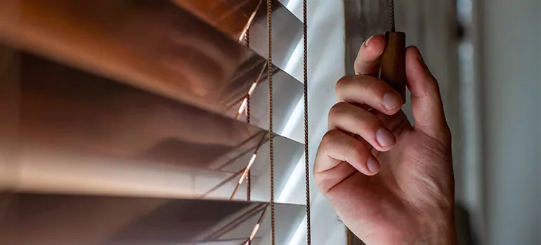 Double Roller Blinds in Key West, FL