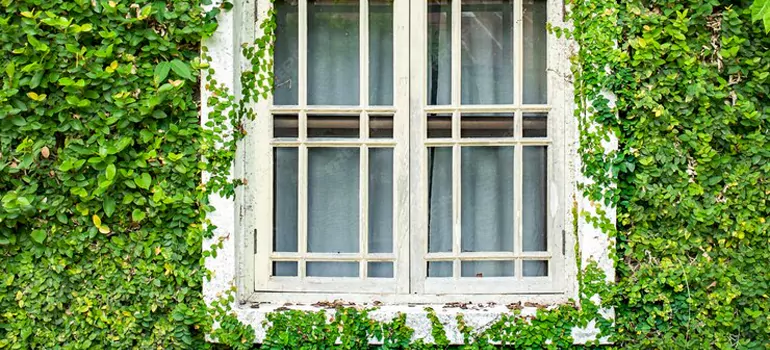 Garden Window Repair Near Me in Key West, FL