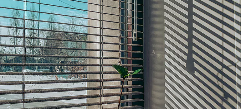 Commercial Window Blinds in Key West, FL