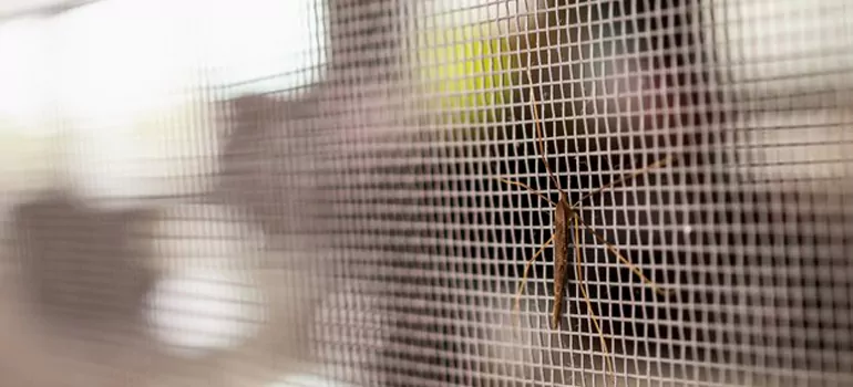 Repair Mosquito Mesh For Windows in Key West, FL