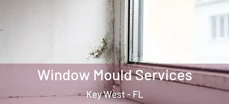 Window Mould Services Key West - FL